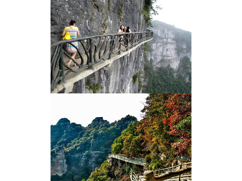 仿生棧道